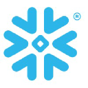 Snowflake Cortex AI logo